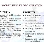 World Health Organization (WHO) : History, Funding, Contribution & Challenges