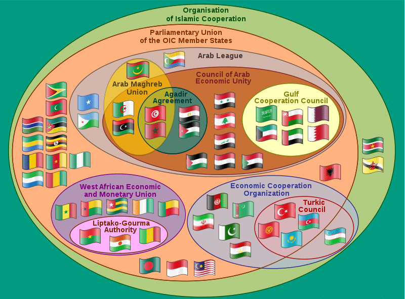 Organization of Islamic Cooperation (OIC)